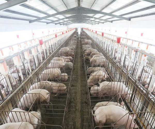 1597027282868340.jpg timg.jpg