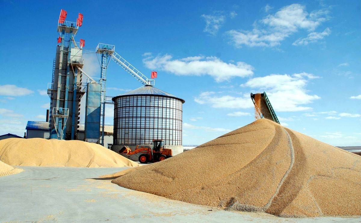 1597721407522295.jpg timg (2).jpg