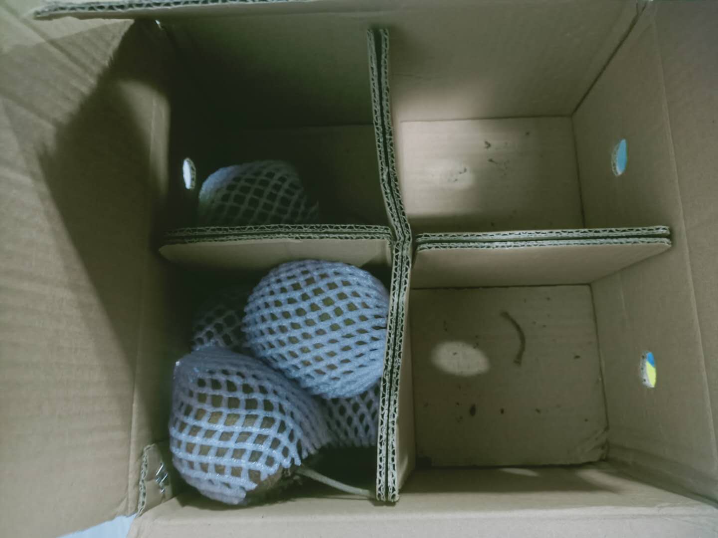 1603102095392037.jpg fd1357b7b7c858cdc2c53c4d12c71fb.jpg