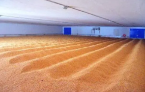 磷化氫濃度監測標準是什么?