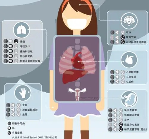 1634201578305355.jpg u=1065816773,2193143310&fm=26&fmt=auto.webp.jpg