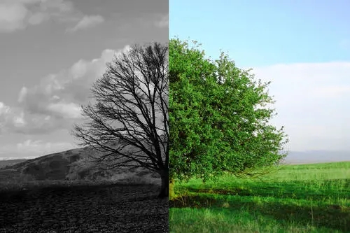 1634201770616937.jpg u=3616082064,760234437&fm=26&fmt=auto.webp.jpg