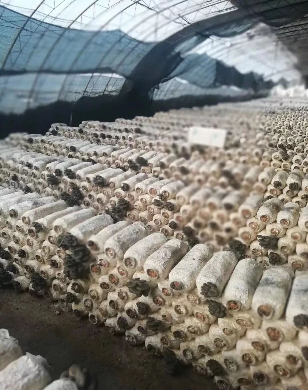 1639560607131072.jpg src=http___5b0988e595225.cdn.sohucs.com_images_20190315_5aa6e3c721ab47e1a957afcf9044e596.jpeg&refer=http___5b0988e595225.cdn.sohucs.jpg